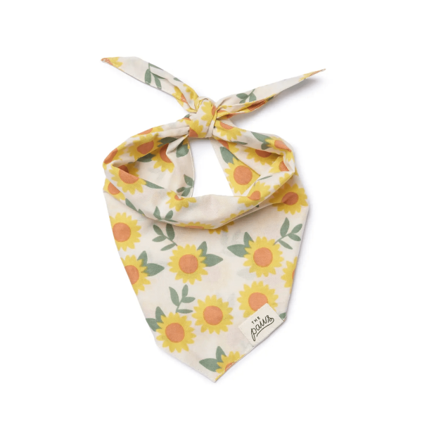 Cullipher Fall Dog Bandana, Lg