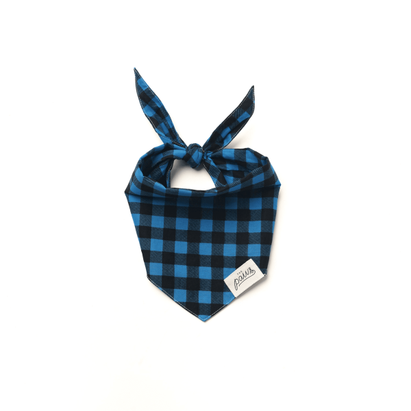 Scotch Dog Bandana, Md