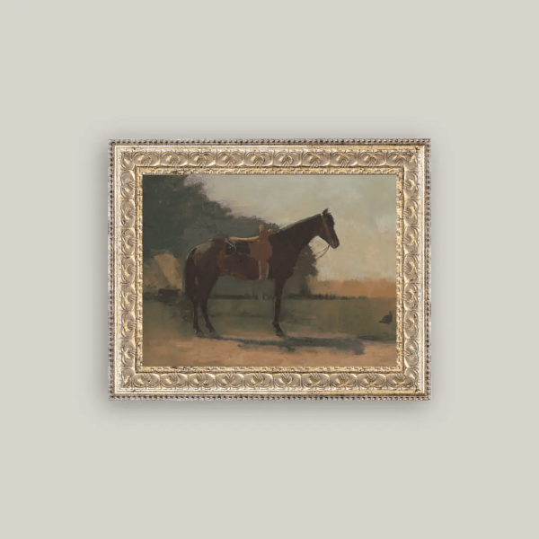 Saddled Horse Framed Print