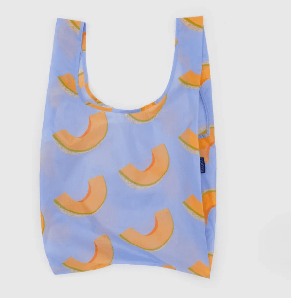 Standard Baggu - Cantaloupe Blue