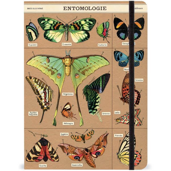 Entomology Notebook, LG