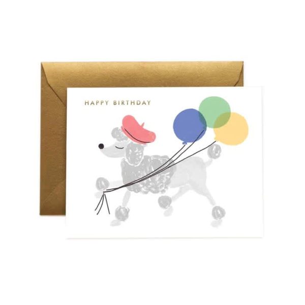 French Poodle Birthday