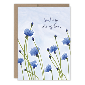 Cornflowers Sending Love