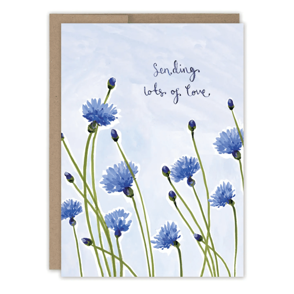 Cornflowers Sending Love