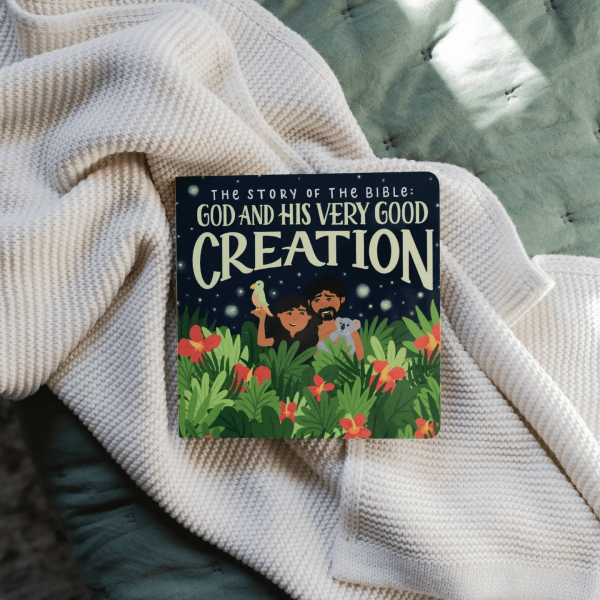 God and His Creation Board Book