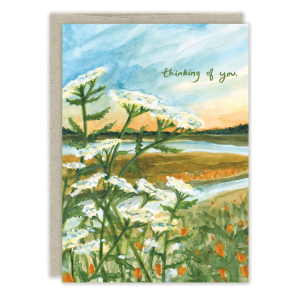 Yarrow Thinking of You