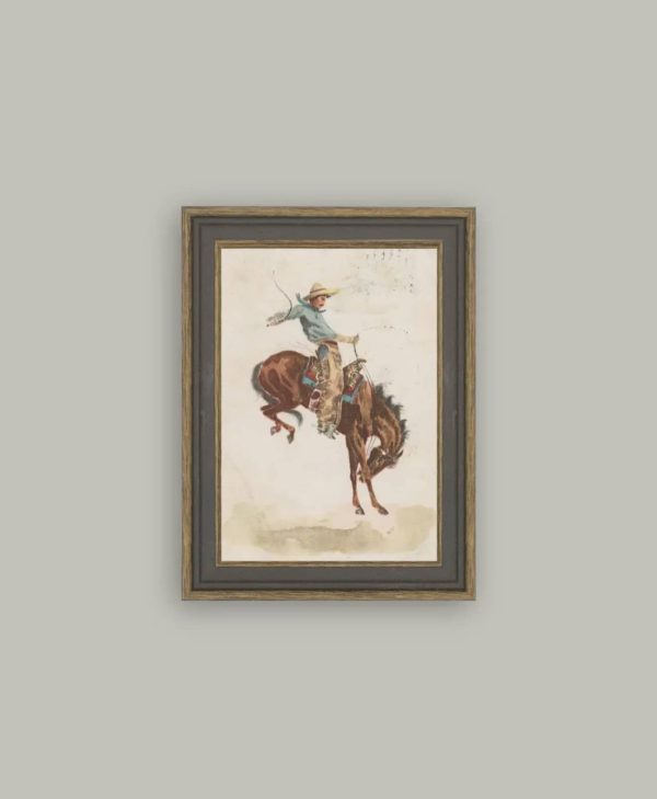 Bucking Bronco Framed Print