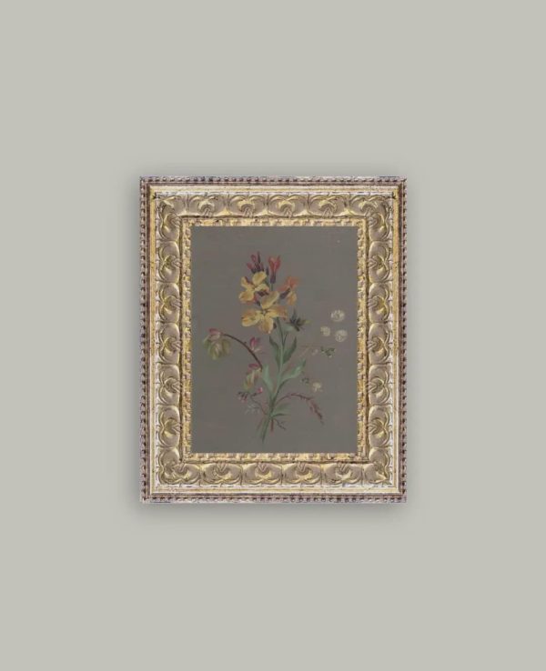 French Wildflowers Framed Print