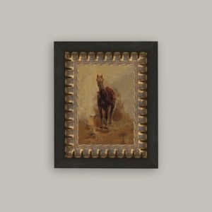 Horse Study Framed Print