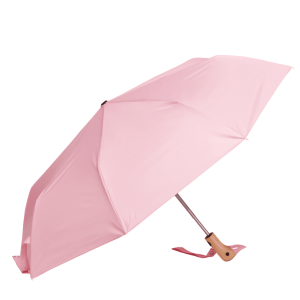 Pink Umbrella