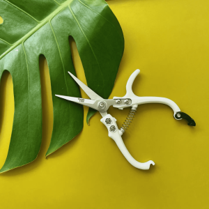 Pruning Shears, White