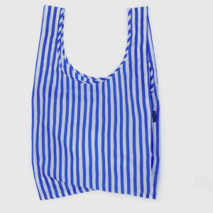 Standard Baggu - Blue Painted Stripe