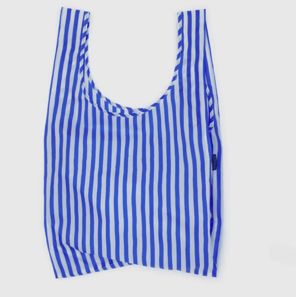 Standard Baggu - Blue Painted Stripe