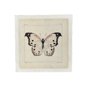 White Butterfly Art Print, 8x8
