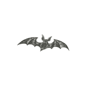 Tattoo, Vampire Bat