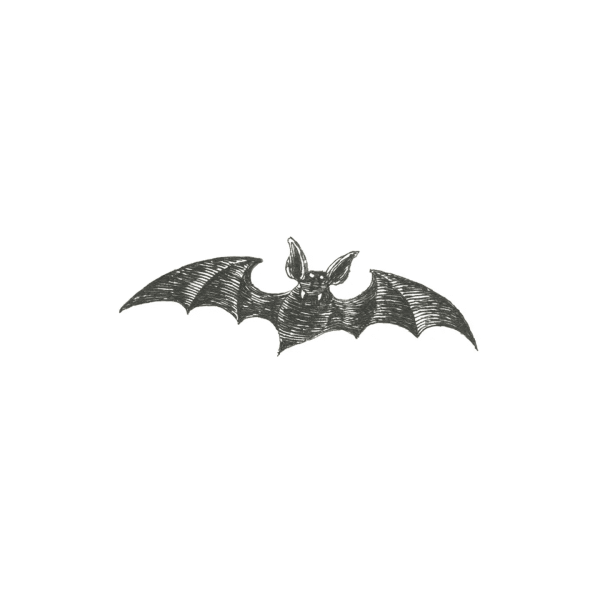 Tattoo, Vampire Bat