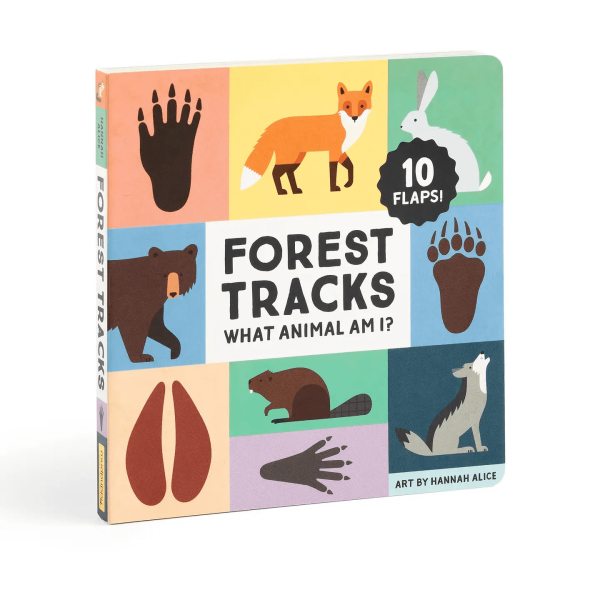 Forest Tracks: What Animal Am I