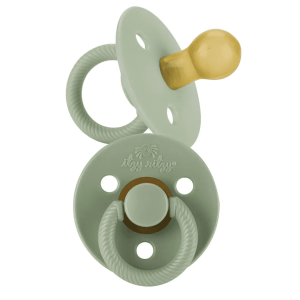 Succulent + Agave Pacifier Set