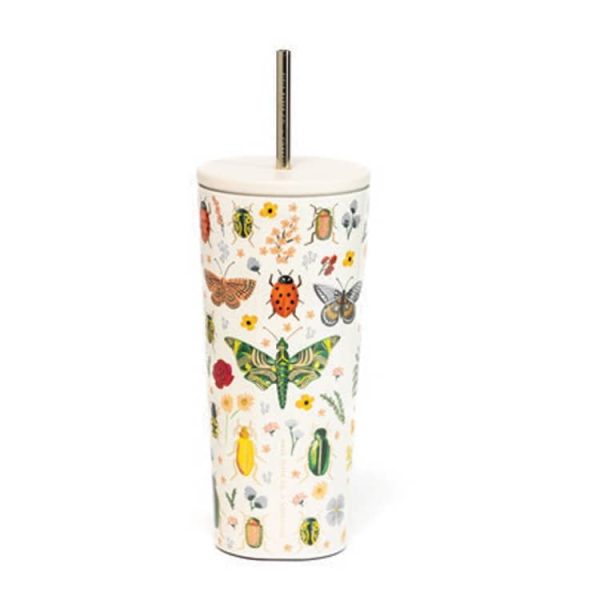Curio Cream Cold Cup, 24oz.